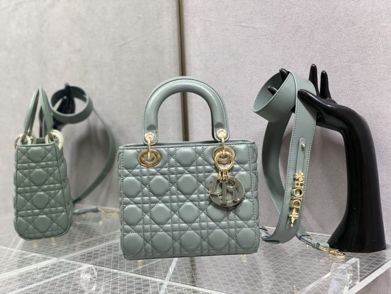 Luxury Bags – DIOR